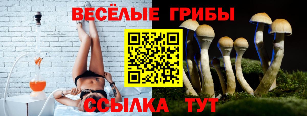 Галлюциногенные грибы мицелий Александров